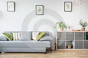 Living room with grey sofa