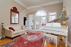 Living Room Interior photo