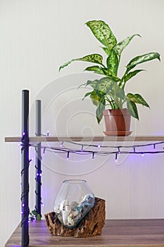 Living room interior bookshelf with flower pot and glass vase behind white wallpaper.