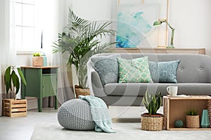 Living room interior with houseplants and sofa