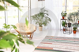 Living room interior with papasan chair and indoor plants photo