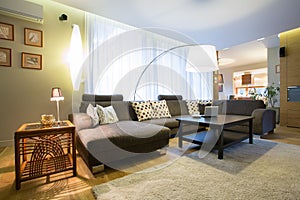 Living room interior