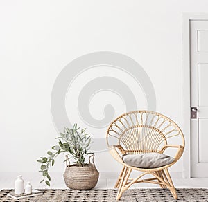 Living room interior with wicker armchair and eucalyptus plant, white wall mock up background