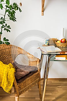 Living room interior woven rattan chair, cushions, knitted sweater, open book, tea cup, fruits in wicker basket, green potted plan