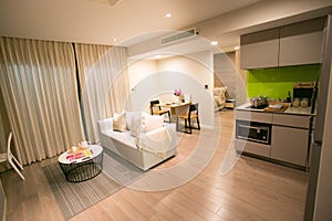 Living-room and kitchen with dining table in condominium