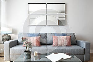 Living room with mirrors on the wall, a nice plant on the coffee table