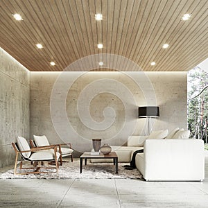 Living room. Modern home interior with empty concrete wall and wooden ceiling.