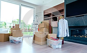 Living room with moving boxes