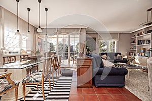 Living room of a single-family home with vintage stoneware floors, a thick white fur rug