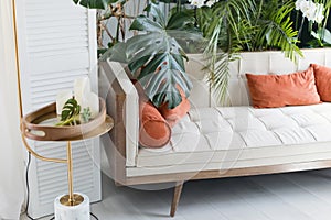 Living room with sofa tropic plants