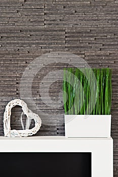 Living room wall design with modern slates texture and potted grass.