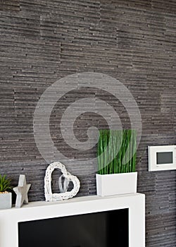 Living room wall design with modern slates texture and potted grass.