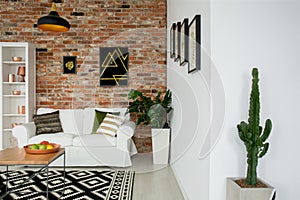 Living room with white bookcase