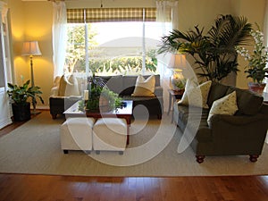 Living Room with Wood Floors