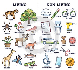 Living vs non living things comparison for kids teaching outline diagram