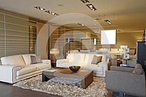 Livingroom interior