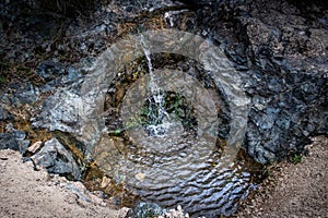 Livorno Rosignano trekking, Tuscany - Italy