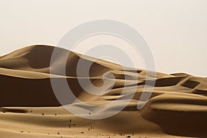 Liwa Desert in Abu Dhabi