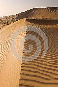 Liwa desert sand dunes