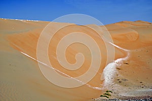 Liwa sand dunes