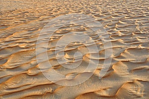 Liwa sand ripples
