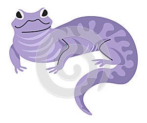 Lizard animal, reptile with long tail, vector