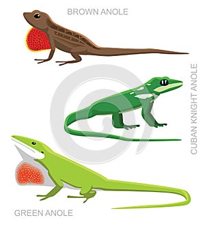 Lizard Anole Set Cartoon Vector Illustration