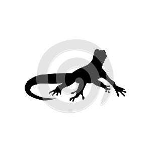 Lizard black silhouette