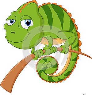 Lizard cartoon illustration