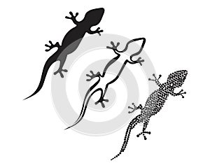 Lizard Chameleon Gecko Silhouette black