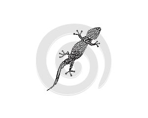 Lizard Chameleon Gecko Silhouette black