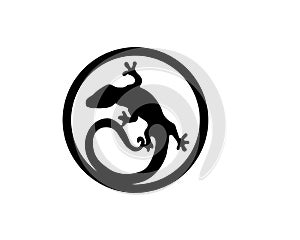 Lizard , design, animal, and reptile, gecko