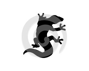 Lizard , design, animal, and reptile, gecko