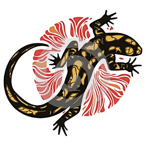 Lizard - Fiery Salamander and fire circle
