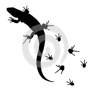 Lizard and footprints silhouette vector.