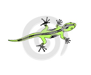 lizard gecko in decorative flat style, vector illustration