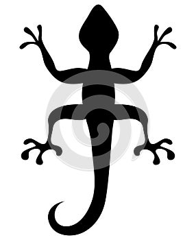 Lizard Graphic