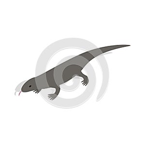 Lizard icon in isometric 3d style