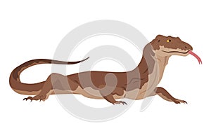 Lizard icon. Tropical colorful decorative amphibian. Fauna character in wildlife or zoo. Wildlife colorful creature