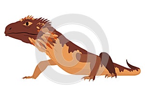 Lizard icon. Tropical colorful decorative amphibian. Fauna character in wildlife or zoo. Wildlife colorful creature