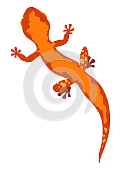 Lizard icon. Tropical colorful decorative amphibian. Fauna character in wildlife or zoo. Wildlife colorful creature photo