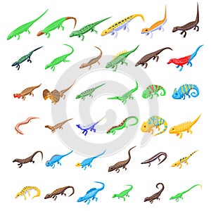 Lizard icons set, isometric style