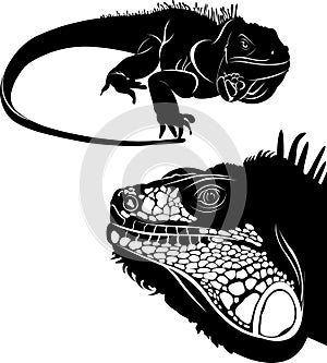 Lizard iguana set of silhouettes vector. Collection of animal icons