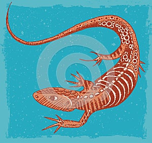 Lizard Illustration