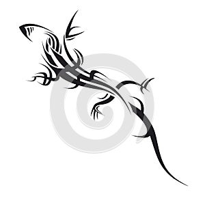 Lizard illustration