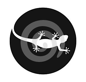 Lizard logo. Isolated lizard on white background