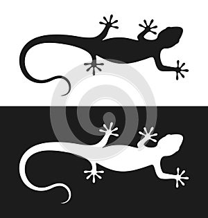 Lizard logo. Isolated lizard on white background