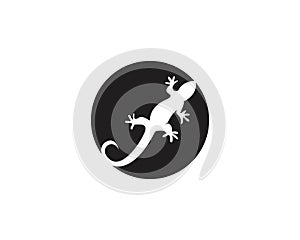 Lizard logos template symbols vectors