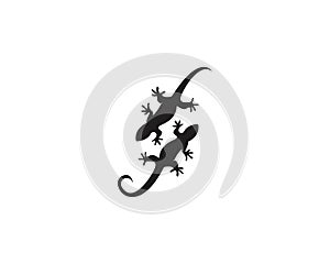 Lizard logos template symbols vectors