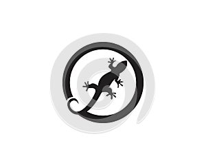 Lizard logos template symbols vectors